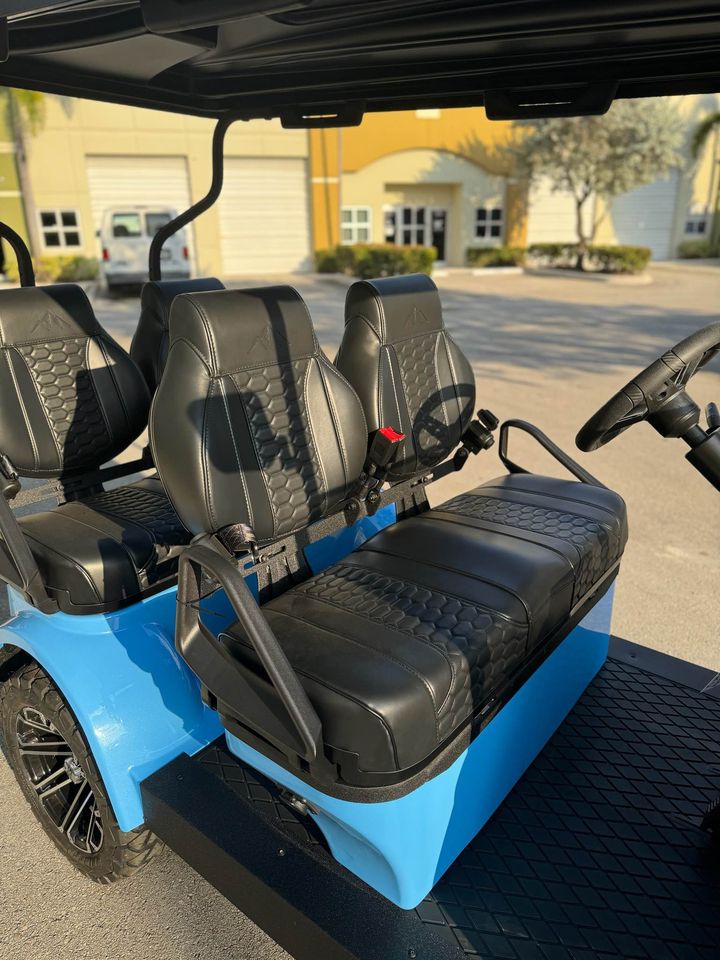 2024 Sierra LSV ax4 - Image 4